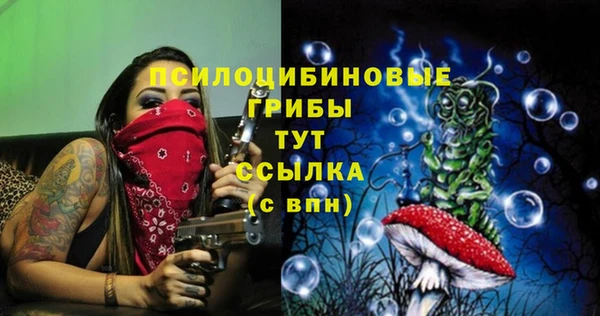 гашик Балахна